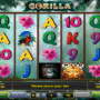 Joaca gratis pacanele Gorilla online