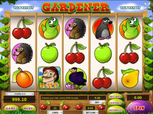 Jocuri Pacanele Gardener Online Gratis