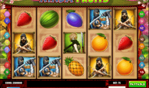 Jocul de cazino online Ninja Fruits gratuit