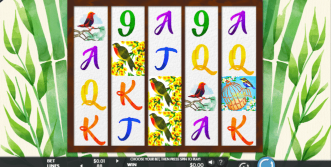 Jocul de cazino online Birds and Blooms gratuit